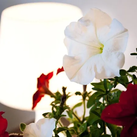 Мотель Wroclawski 2*