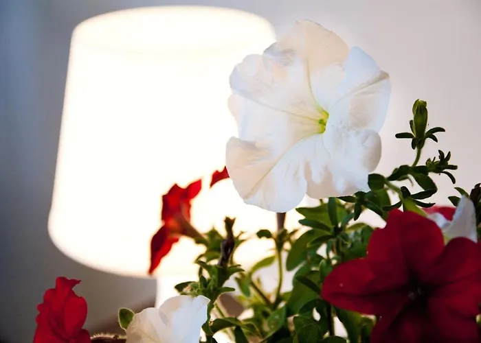 モーテル Wroclawski 2*